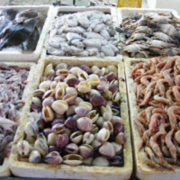 Seafood
