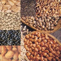 Oilseeds