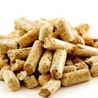 Biomass
